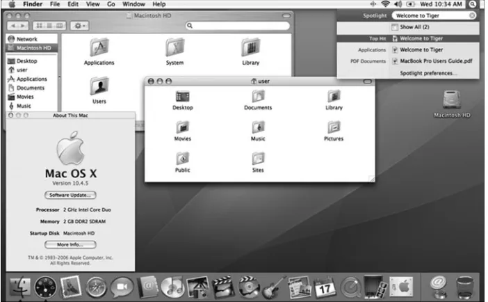 Figure 1.1Gelcap-style buttons in a Mac OS X window.
