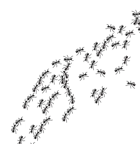 FIGURE 2.3Ants responding to chemical signals appear