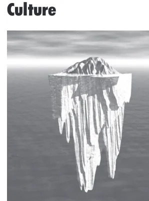 Figure 1-2: Cultural iceberg