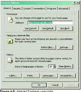 Figure 4-9: Internet Explorer uses tabs.  