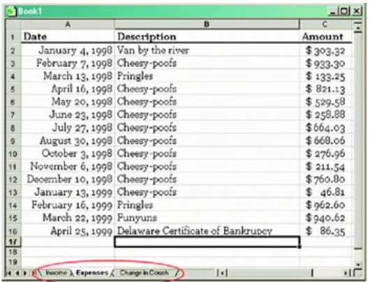 Figure 5-2:  Microsoft Excel uses tabs to show multiple pages.  