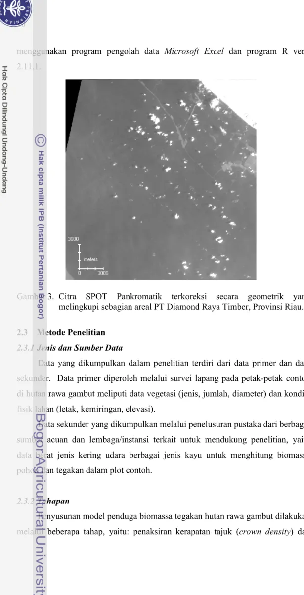 Gambar 3.  Citra  SPOT  Pankromatik  terkoreksi  secara  geometrik  yang  melingkupi sebagian areal PT Diamond Raya Timber, Provinsi Riau.