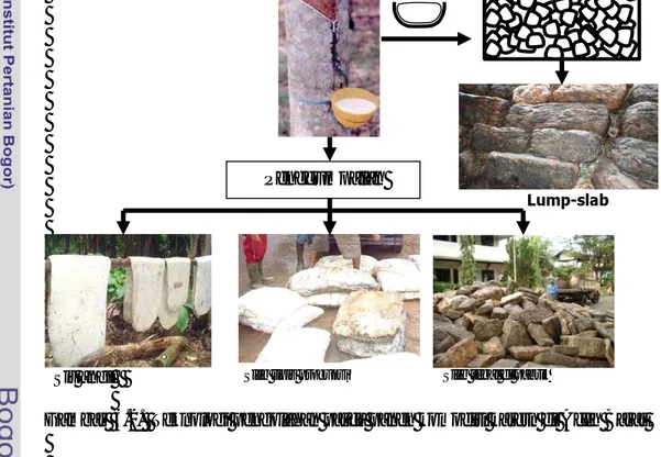 Gambar  6.2.  Teknologi pengolahan pasca panen komoditi karetn di Aceh Barat 