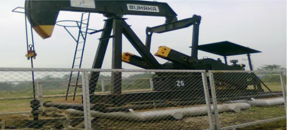 Gambar 2.1 Sucker Rod Pump Tipe C228D-173-74