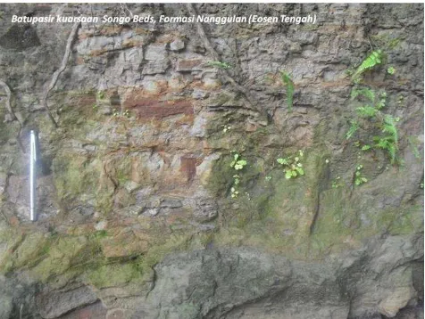 Gambar 4. Batupasir kaya kuarsa pada  Songo Beds, Formasi Nanggulan berusia Eosen Tengah (Awang Satyana dkk , 2013)  