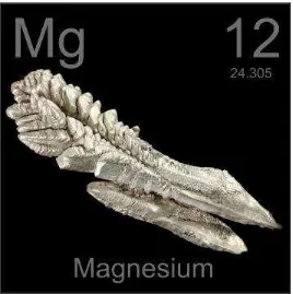 Gambar 1. Magnesium 