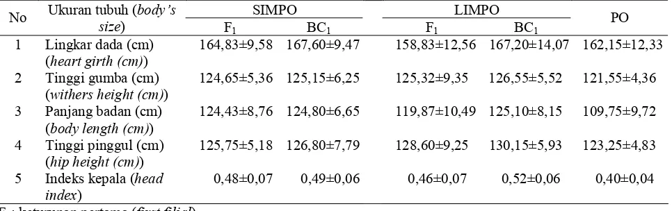 Tabel 2. Rerata dan standar deviasi ukuran tubuh sapi SIMPO dan LIMPO pada keturunan pertama dan kedua backcross (the average and standard deviation of body sizes of SIMPO and LIMPO cattle in first filial and backcross)  