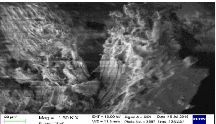 Gambar 11. SEM mikrograf dengan perbesaran 1500x 