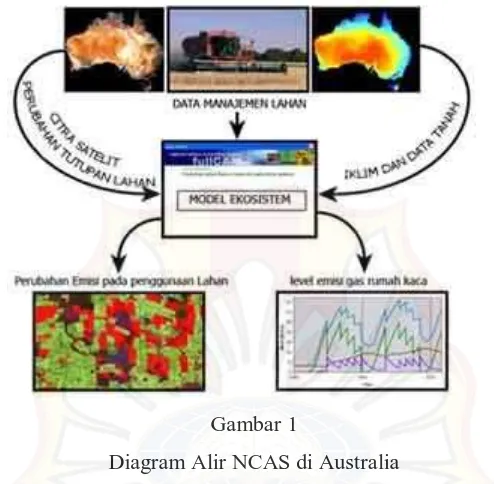 Gambar 1 Diagram Alir NCAS di Australia 