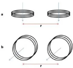 Gambar II.10 Konfigurasi EM-Conductivity (a) sistem loop horizontal coplomar 