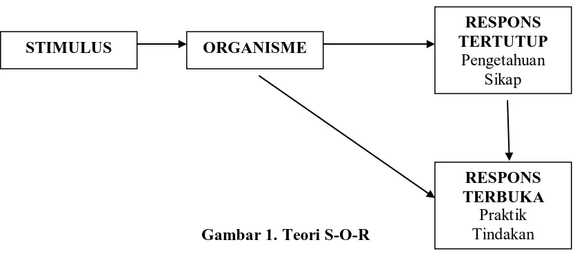 Gambar 1. Teori S-O-R 
