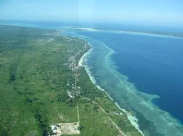 Foto yang menunjukkan batas wilayah adat di pesisir kampung   pada daerah pasang surut dan laut dala 