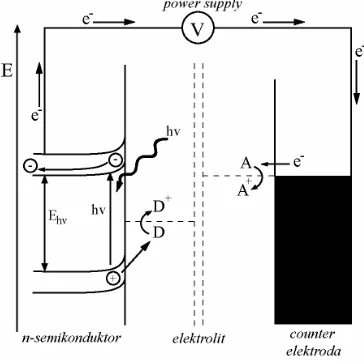 Gambar 4. Skema proses fotoelektrokatalisis. Proses ini terjadi pada iradiasi semikonduktor tipe-n yang dicelupkan dalam air dan dibawah pengaruh  tegangan positif