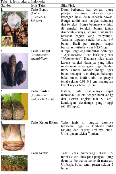 Tabel 1. Jenis talas di Indonesia 