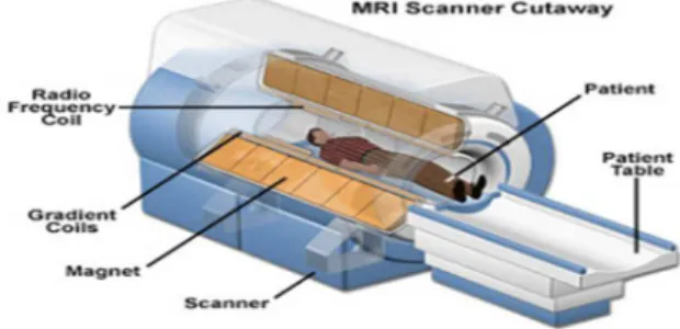 Gambar 3. PenampangMagnetic Resonance Imaging (MRI) (Bushberg, 2002) 