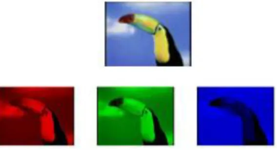 Gambar 2.7. Komponen RGB  