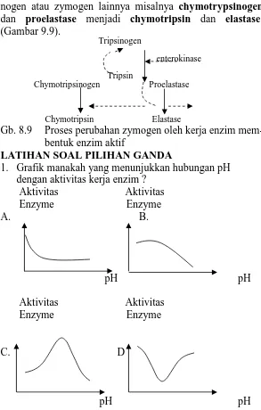 Grafik manakah yang menunjukkan hubungan pH dengan aktivitas kerja enzim ?        Aktivitas                         Aktivitas              