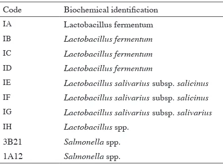 TABLE 1. Isolated Lactobacillus and Salmonella strains