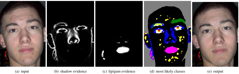 Figure 1. Automatic touch-up applied to an image found on the internet (a). A low-level pixel classiﬁer estimates evidence for 10 classes ofimage transforms, each specialized for texture classes that roughly correspond to shadowed skin (b), lips/gums (c), 