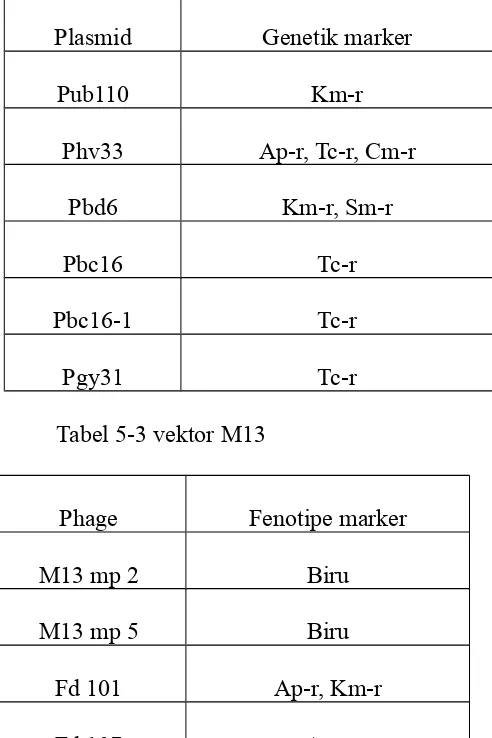 Tabel 5-3 vektor M13