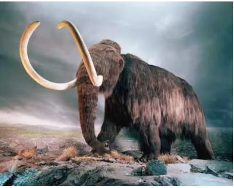 Gambar 2.2 Mammoth pada zaman Pleistosen 