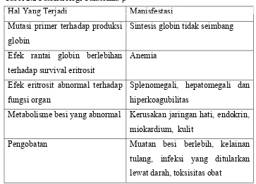 Tabel 2.2 Patofisiologi Talasemia-β 