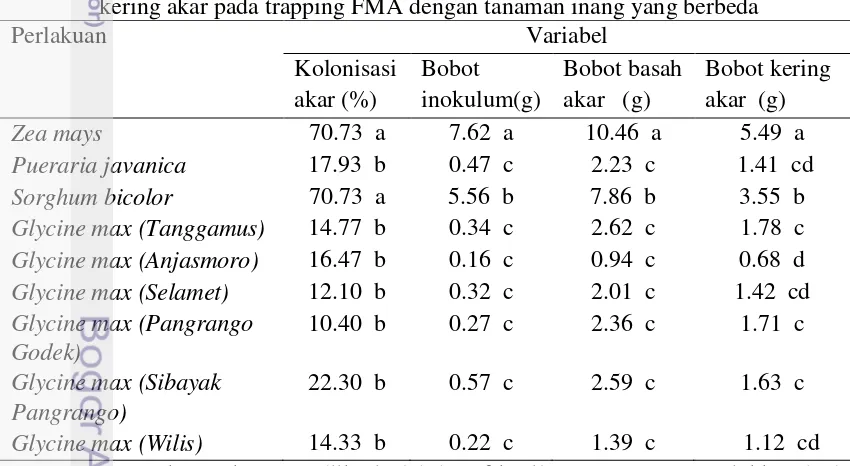 Tabel 4.3 Kolonisasi akar, bobot inokulum, dinamika sporulasi, bobot   basah dan bobot 