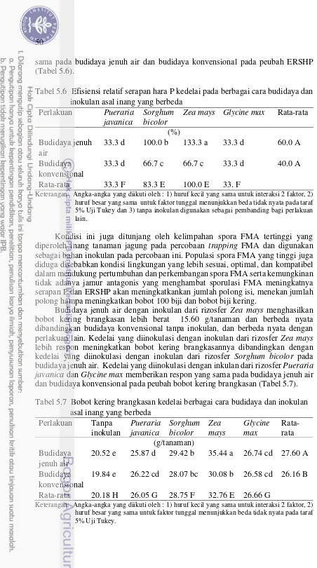 Tabel 5.6  Efisiensi relatif serapan hara P kedelai pada berbagai cara budidaya dan 