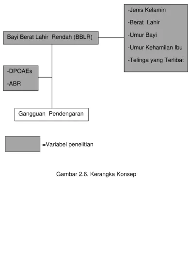 Gambar 2.6. Kerangka Konsep 