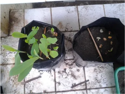 Gambar 10 (kenampakan pada tanggal 16 juni 2014) 