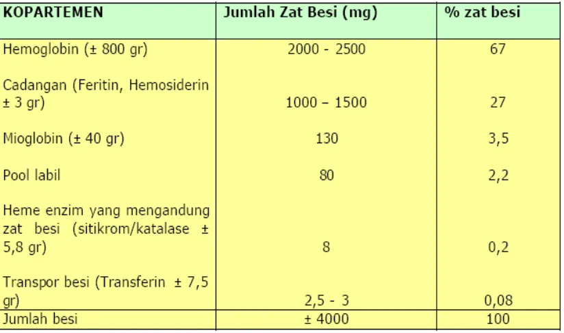 Tabel 2.1.Kompartemen zat besi dalam tubuh.