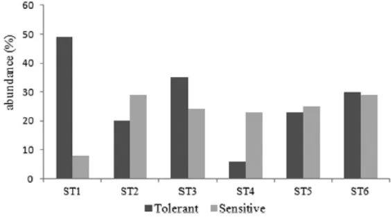 Gambar 1. Persentase spesies toleran dan sensitif terhadap stres (N5%) pada foraminiferal hidup kumpulan di antara stasiun sampel
