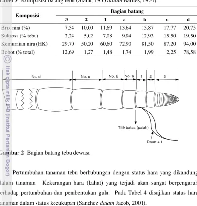 Tabel 3   Komposisi batang tebu (Staub, 1955 dalam Barnes, 1974) 
