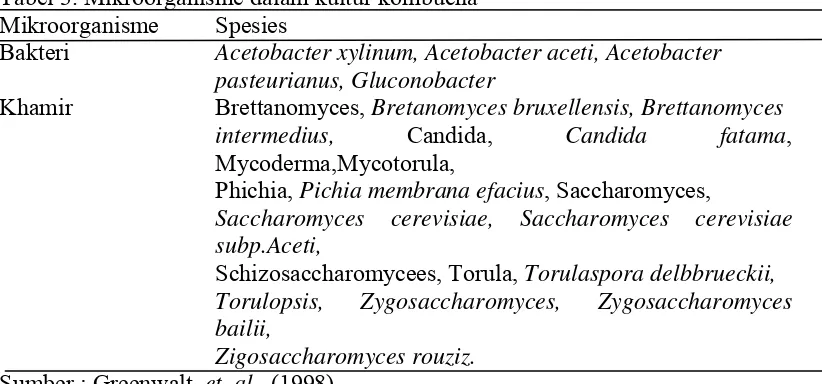 Tabel 3. Mikroorganisme dalam kultur kombucha 