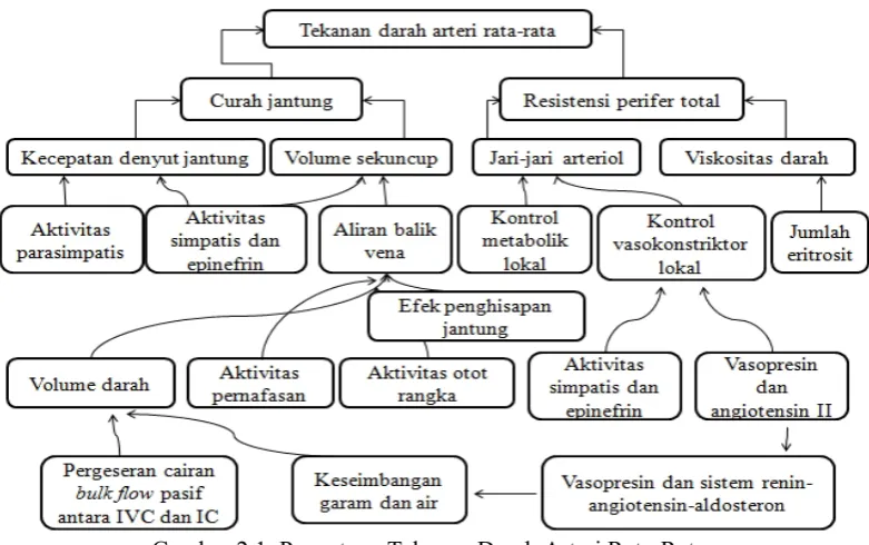 Gambar 2.1. Penentuan Tekanan Darah Arteri Rata-Rata