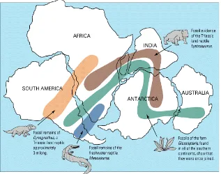 Gambar 3-1 Kecocokan garis pantai benua Amerika Selatan Bagian Timur dengan garis pantai benua Afrika Bagian Barat 