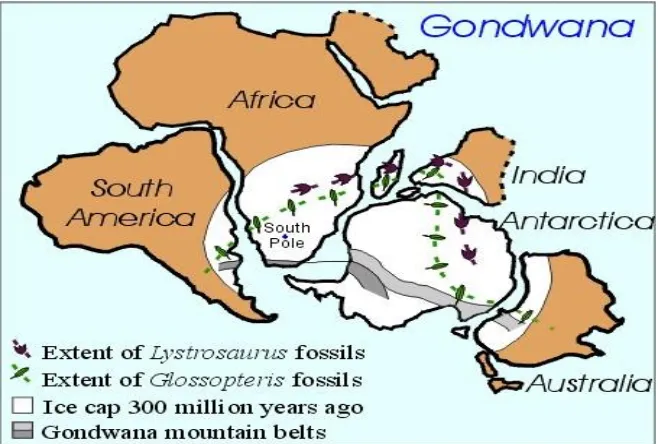 Gambar 3-3. Sebaran lapisan es di belahan bumi bagian selatan pada 250 – 300 juta tahun yang lalu serta sebaran fosil Lystrosaurus dijumpai di benua-benua Afrika, India, dan Antartika; fosil Glossopteris dijumpai di benua benua Amerika Selatan, Afrika, Ind