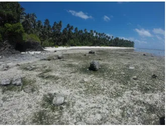 Gambar 6. Padang lamun di Pulau Miangas 