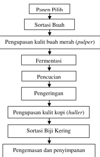 Gambar 2.4 Alur proses pengolahan kopi secara basah (wet process) 