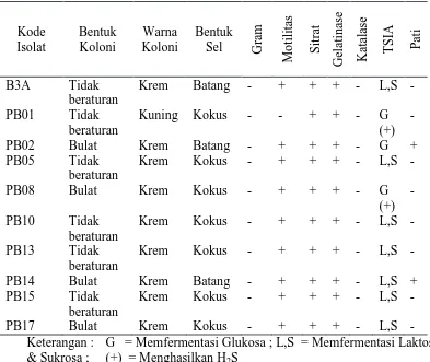 Tabel 2. Hasil pengamatan morfologi dan uji biokimia isolat bakteri kitinolitik  