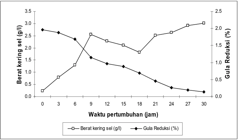Gambar 3.  Perbandingan berat kering sel (g/l) dan gula reduksi (%) terhadap waktu     pertumbuhan (jam) pada isolat T5  