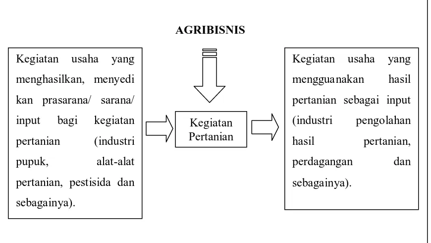 Gambar 2.1. Mata Rantai Kegiatan Agribisnis (Arsyad dkk, 1985).  
