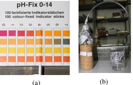 Gambar 4.7. Pengaturan pH menggunakan indicator Universal (a) dan Proses fermentasi (b)