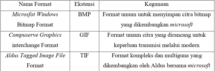 Tabel 2.2  Format File Citra 