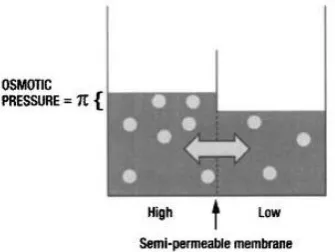 Gambar 1. Peristiwa Reverse Osmosis 