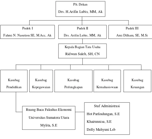 Gambar 2.1. Struktur Organisasi Bagian Perpustakaan Fakultas Ekonomi USU 