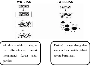 Gambar 2.4  Mekanisme wicking dan swelling 