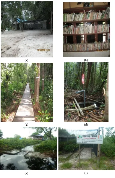 Gambar 5.Fasilitas-fasilitas yang terdapat di hutan gambut JP. (a); halamandepan; (b) perpustakaan; (c) titian; (d) sumur bor; (e) kanal sekat;(f) persemaian.
