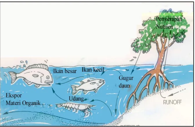 Gambar 4. Fungsi Ekosistem Mangrove 