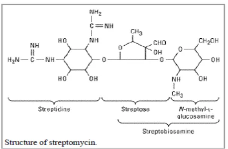 Gambar 2.2. Struktur Streptomisin 